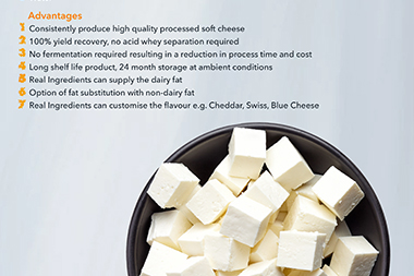 Processed Soft Cheese Dry blend