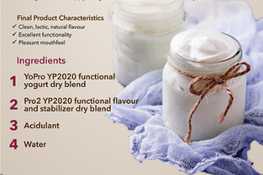 Stir-type Yogurt Dry Blend
